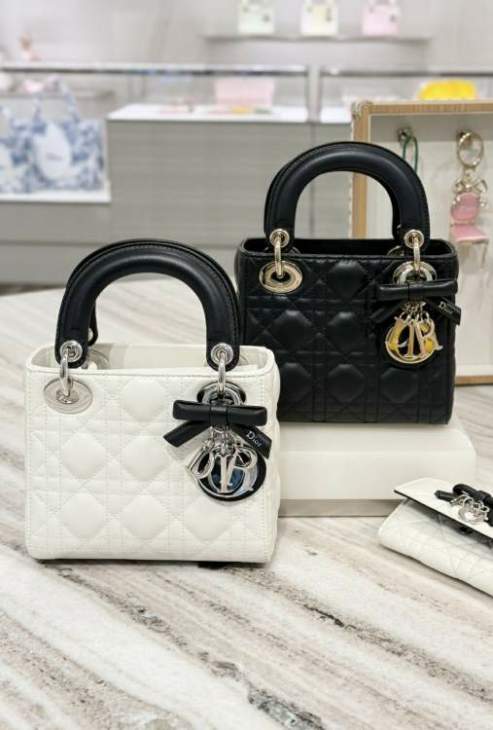 Picture of Dior Handbags _SKUfw240129558fw